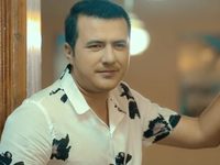   (2017)