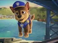     (2021) 

