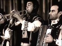 Соловей из села Маршинцы (1966) - фото №10