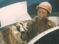 , 45   (1982)