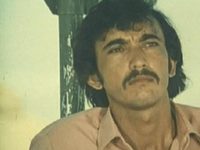 , 45   (1982)
