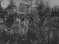 -   (1927) 
