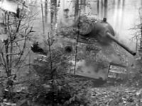      (1973) 
