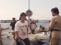    2:   (1994) 
