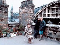   (1988)