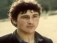  (1991) -  3