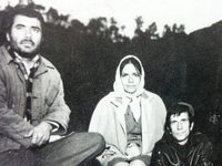    (1973) 
