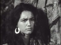   (1969) -  1