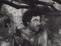   (1969) -  2
