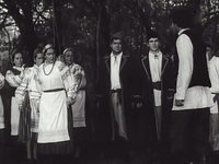   (1969) -  11