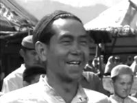   (1954)