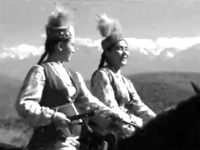   (1954)