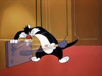 - (1948) 
