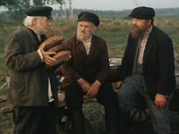   (1982) 
