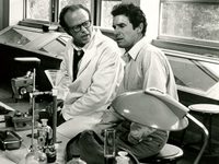  (1975)