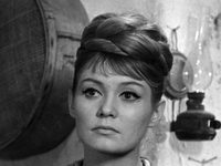  (1965) 
