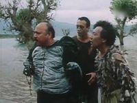   (1988)
