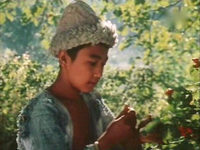   (1988)