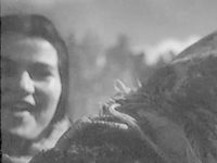   (1947)