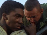    C (1978) 
