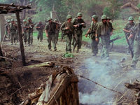    C (1978) 
