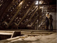 4    (2011) -  2
