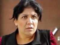     (2013) 

