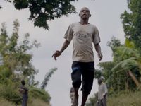    (2017) 
