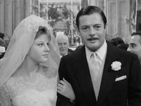  - (1961) -  1