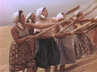   (1949) -  15