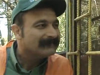 -3 (2007)