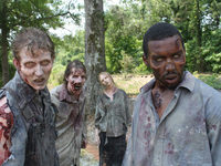 Photo by Gene Page and Greg Nicotero  TWD Productions LLC. All rights reserved
