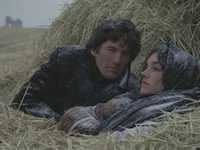   (1978)