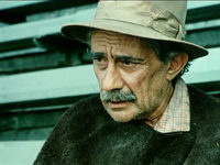    (1977) -  44