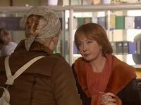  .    - 4 (2005) -  26