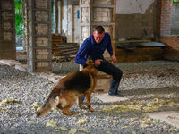 ϸ-5 (2019) 
