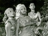     (1971)