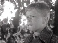    (1956) 
