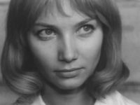  (1966)