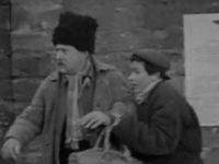   () (1966) - - -  16