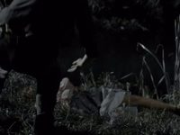    (2016) -  22