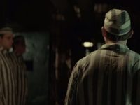    (2016) -  31