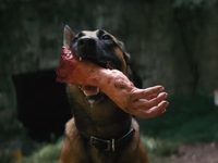  (2024) 
