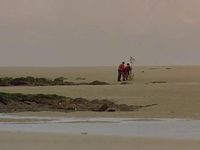   (2000) 
