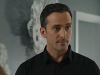     (2020) 
