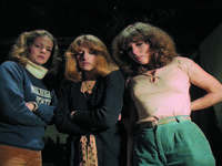   (1981)