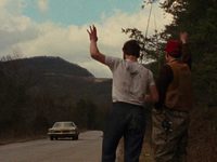   (1981)