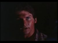   (1981)