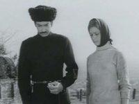      (1975) 
