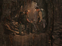     (2008) 
